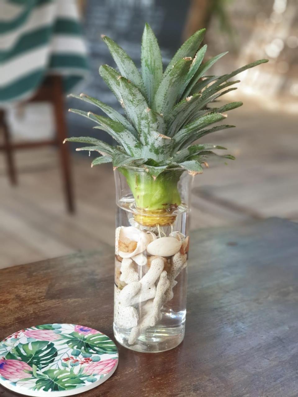 Memo'S Beach Nilaveli Ngoại thất bức ảnh